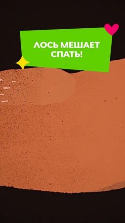 😠 Когда ты сова, а вокруг одни жаворонки...