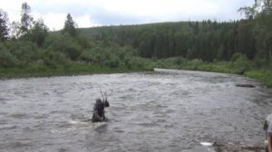 Тайга ОПАСНЫЙ переход Реки Ловля Хариуса Рыбалка в Тайге 2025 Сухопит 12 июл 18 Сибирь Серия 4