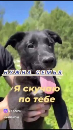 YouCut_20250723_201811360.mp4