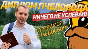 Получил диплом пчеловода/что такое гумус/чужая пасека/кормим пчел/очень сложный сезон
