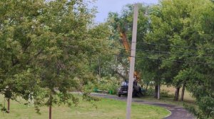 Субботник возле школы в деревне, уборка деревьев, жизнь в деревне