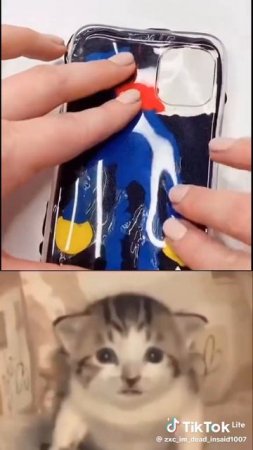 оцените чехол