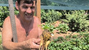 Крольчиха раскидала крольчат.Делаем запасы на зиму.Жизнь на Кубани