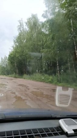 Лесная дорога.