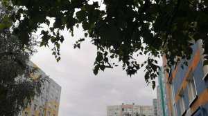 Гуляем, болтаем. Погода подвела. 
Рубрика: "Чёкупила и почём"
#сезонконтентаRUTUBE