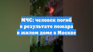 МЧС: человек погиб в результате пожара в жилом доме в Москве