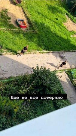 Узнаете, что у них в руках? Растрогали старика 🥹

#юмор #смешно #парни #дружба #отношения #детство #