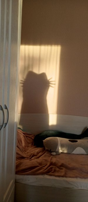 будем собирать подарок сестре на др, который у неё будет через 2 недели.