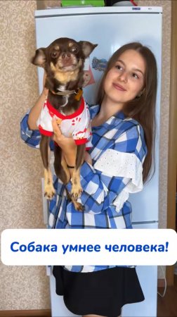 Только она спасает меня от всех загрязнений ! Артикул на WB #234577722 
Ozon #1664064287
