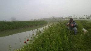 Удивительно грустная история с хорошим концом.