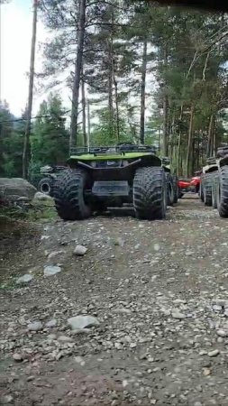 роман крыса