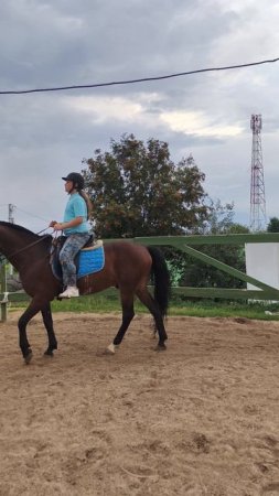 Екатерина и Аквилон, работа над посадкой на шагу на плацу.