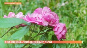 А за окном. 23 июля 2025