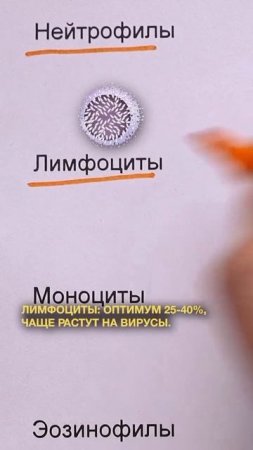 Как выбрать правильные добавки