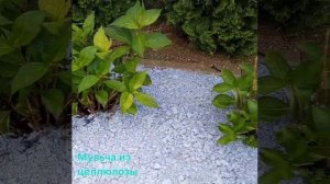 WhatsApp Video 2025-07-23 at 10.25.13