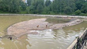 Грозы, ливни, ...