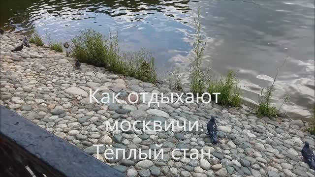 Как отдыхают москвичи. Часть 2.
