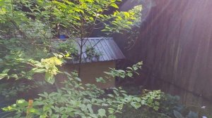1. Утром в деревне вышел на улицу. Батя открывает парники с огурцами, помидорами и перцем.