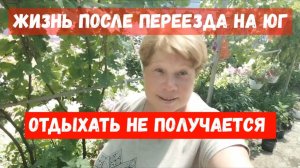 #58🌷Не хотела этим заниматься/Разгребаю заросли/Привалило Работки/Компот из груш