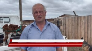 В мкрн Сокол прошел рейд по выявлению свободно пасущихся коров
