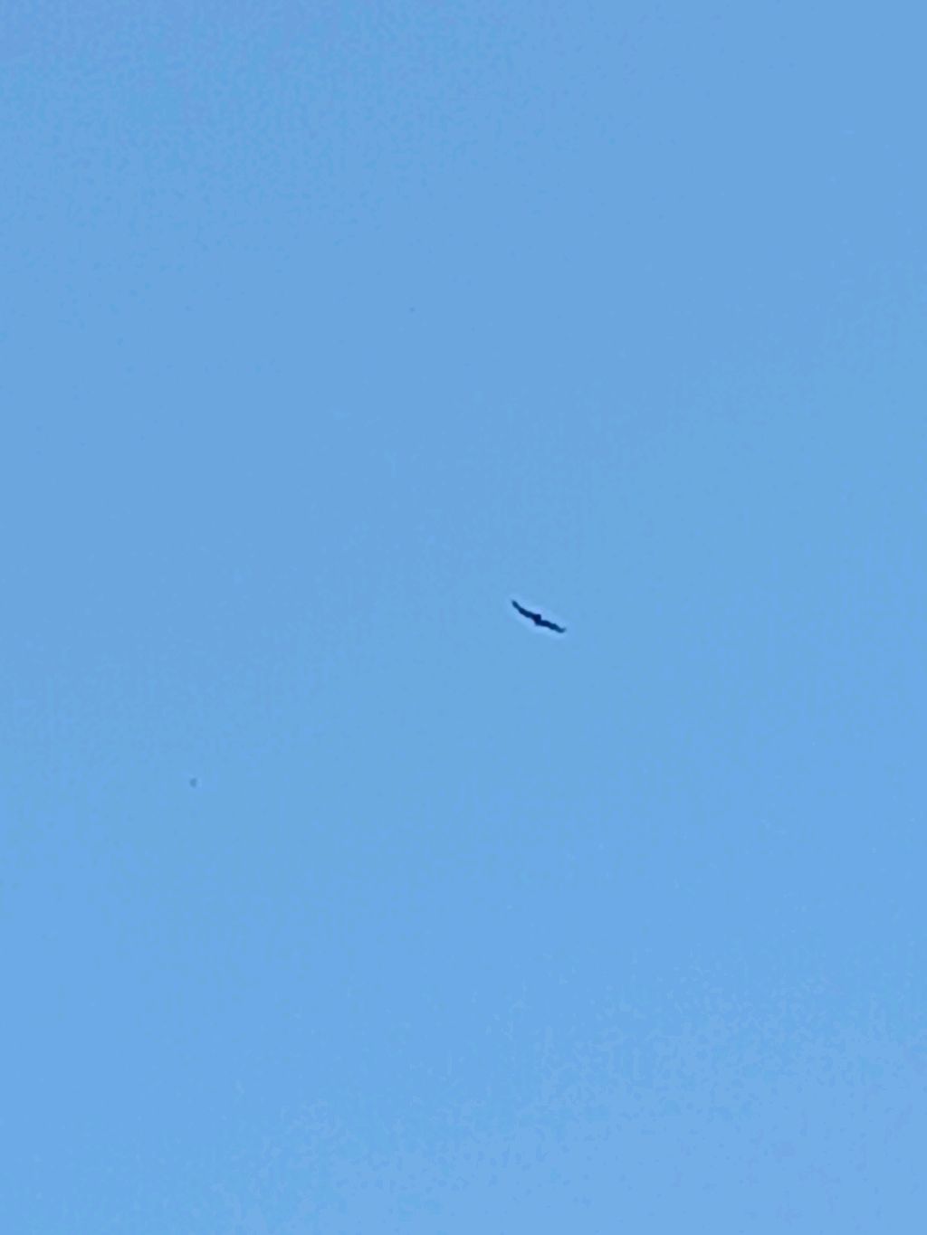 русское смотреть онлайн