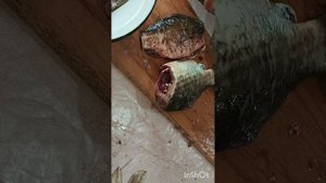 Готовим утренний улов🐟коптим