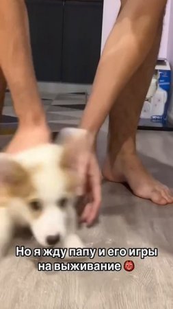 @mix_shorts_