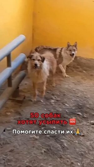 -2257918195081757435