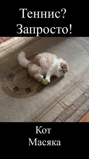 Кот Масяка