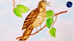 Скворец /  Как скворца научили говорить М. Горький