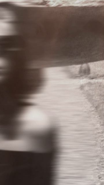 FunkyVero - Уязвима