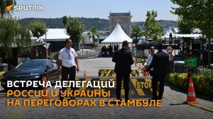 Встреча делегаций России и Украины на переговорах в Стамбуле – трансляция