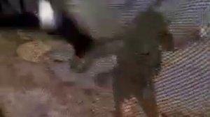 Бумагу, сударь, бумагу!