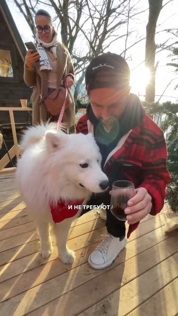 Что делать, если у тебя маленький земельный участок?! #шортс #тикток #глэмпинг смотреть онлайн