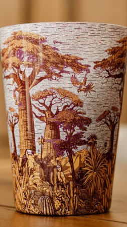 Baobab Collection SACRED TREES
