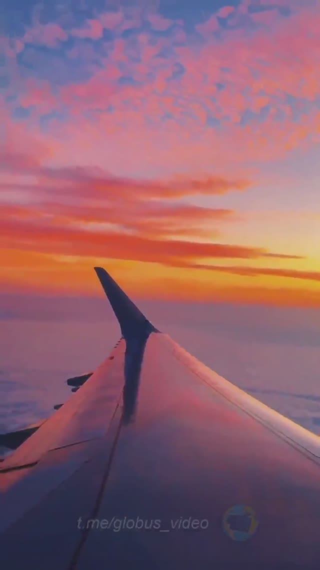 Тому, кто давно не летал ✈️ смотреть онлайн