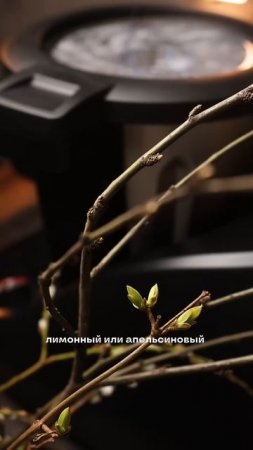 ИДЕАЛЬНОЕ ПАСХАЛЬНОЕ ПЕЧЕНЬЕ  #рецепты #печенье #рекомендации