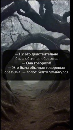 Полина Душина - LightHouse