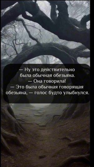 Полина Душина - LightHouse