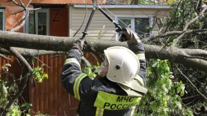 Аварийные бригады восстанавливают Хабаровск от последствий урагана