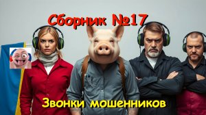 Сборник №17