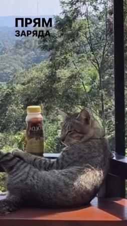 Скачать видео ➡️➡️➡️ в т. Г. 
https://t.me/cartolega