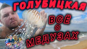 💥ГОЛУБИЦКАЯ💥МЕДУЗЫ😱ИНСТРУКЦИЯ ПО МЕДУЗАМ?КАКИЕ ОПАСНЫЕ? #голубицкая #азовскоеморе