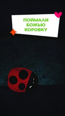 🐞 Божью коровку похитили...