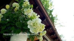 Высокий берег