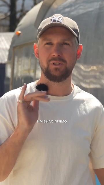 Вся правда, зачем купил дом на колесах #шортс #рилс #тикток смотреть онлайн