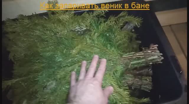 Как правильно запаривать веник для бани смотреть онлайн