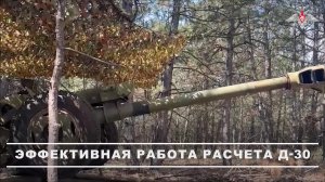 ⚔️ Расчет орудия Д-30 группировки войск «Днепр» уничтожил живую силу противника в Запорожской обл...