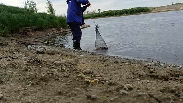 7 кг подлещика на донки+сало. С 9 до 13 смотреть онлайн