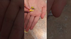 Распаковка Mini verse